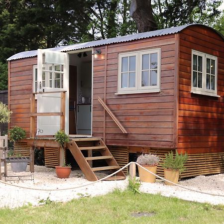 Cobo Cottage Чичестър Екстериор снимка